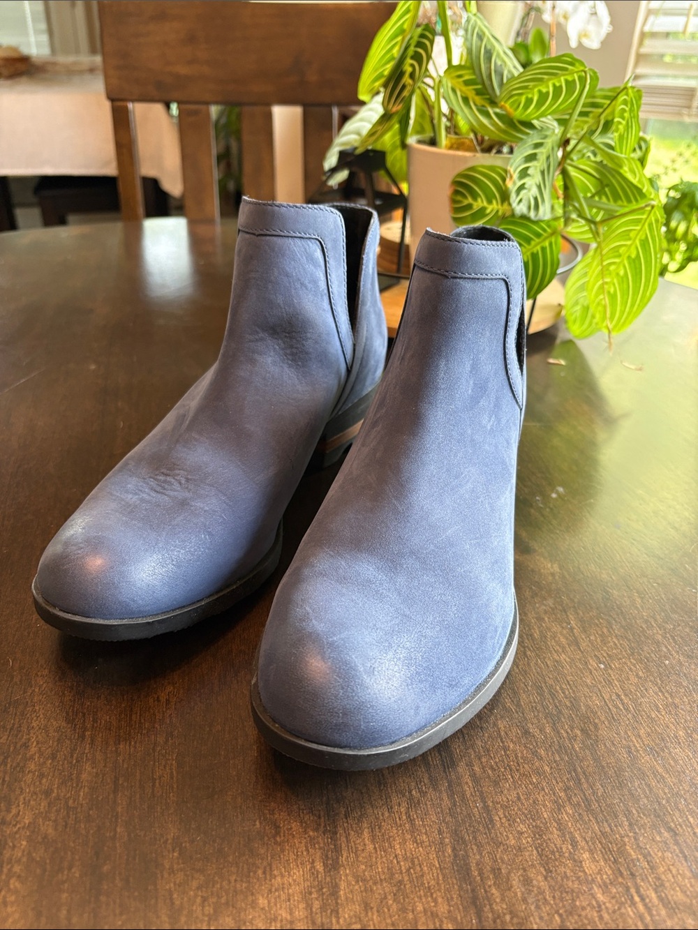 Sorel Women's Navy Blue Ankle Booties
